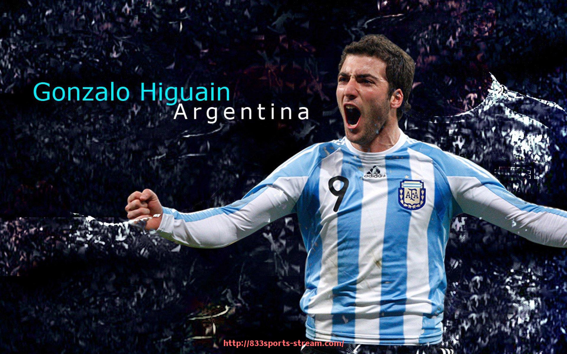 833体育直播-俱乐部专用健身器材的配置与使用建议