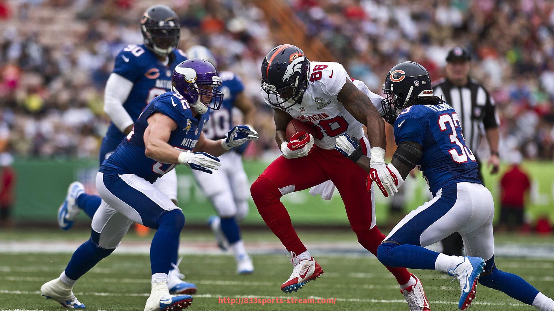 833体育直播-俱乐部专用健身器材的配置与使用建议